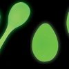 LP Glow Eggs Chickitas