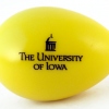 University-of-Iowa--yellow Egg Shakers