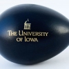 University-of-Iowa Black Egg Shakers